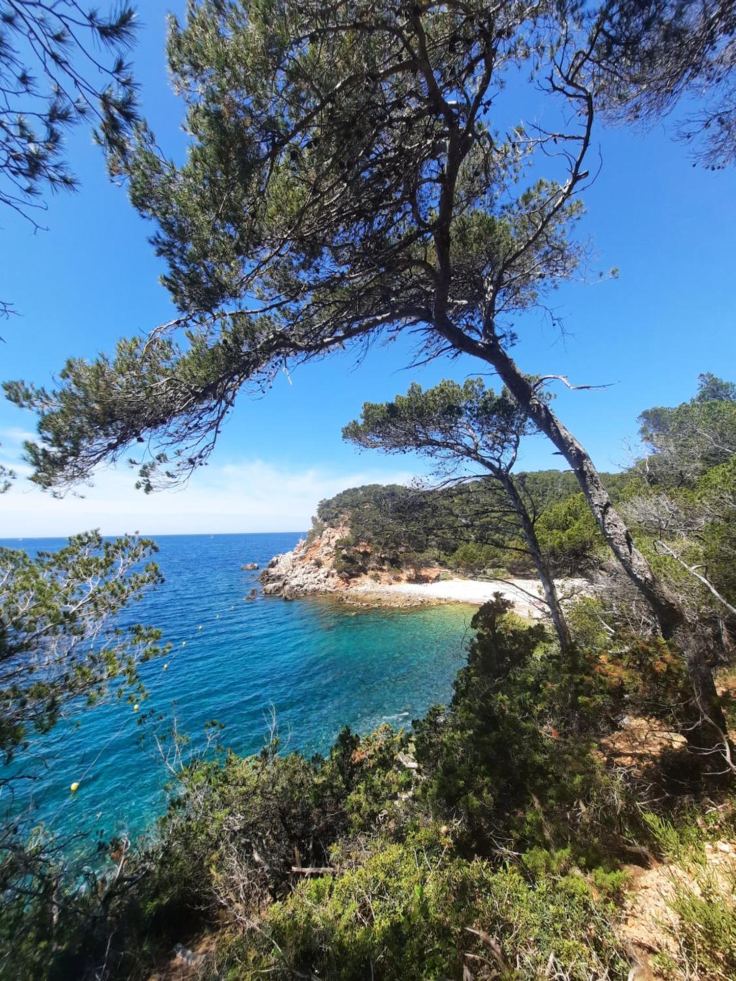 Maison Independante Avec Piscine Privative Pres De La Mer ラ・ギャルド エクステリア 写真